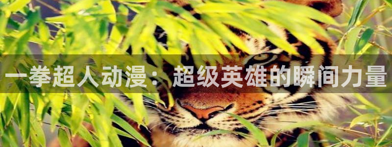 羞羞动漫在线观看入口